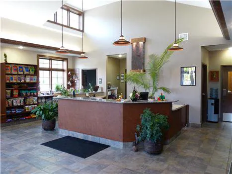 Ness Exotic Wellness Center Picture 10