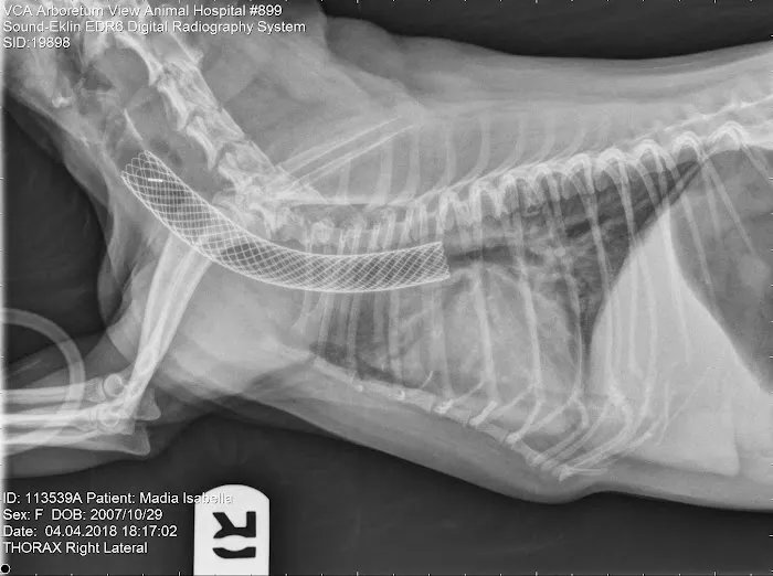 Galvao Otoni Internal Medicine Picture 1