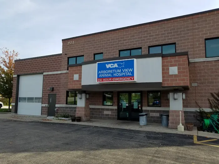 VCA Arboretum View Animal Hospital Picture 2