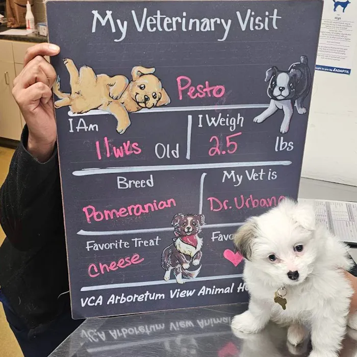 VCA Arboretum View Animal Hospital Picture 6