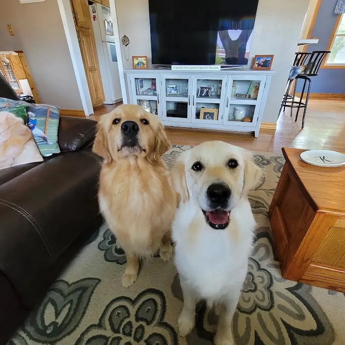 Partners and Paws Veterinary Services Picture 2