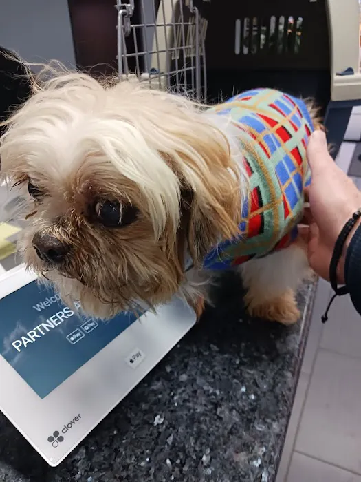 Partners and Paws Veterinary Services Picture 3