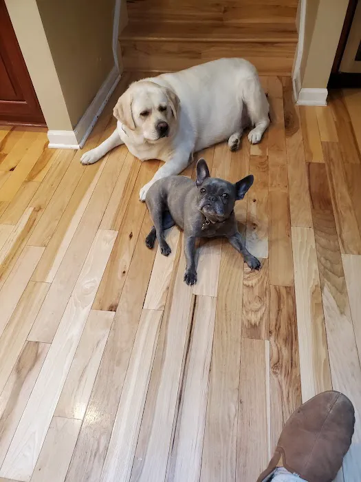 Partners and Paws Veterinary Services Picture 5