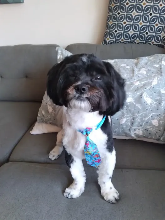 Ad Park Pet Clinic Picture 2