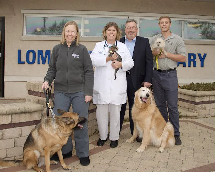 Lombard Veterinary Hospital Picture 8