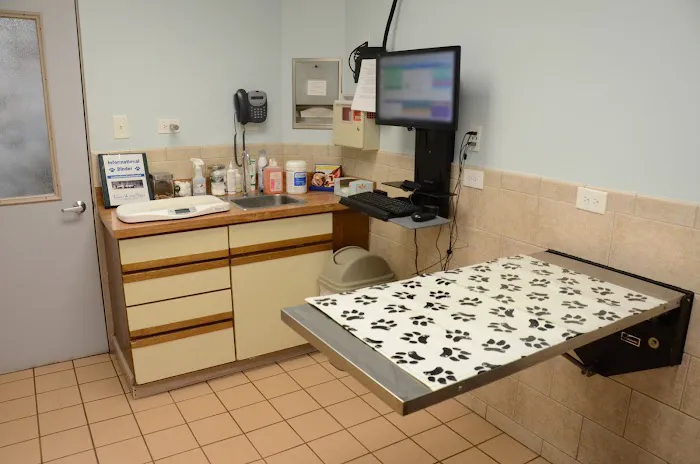 Lombard Veterinary Hospital Picture 7
