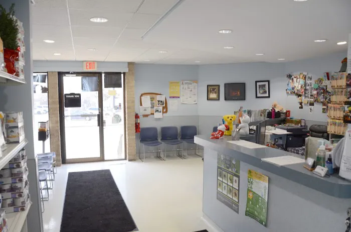 Lombard Animal Clinic, P.C. Picture 2
