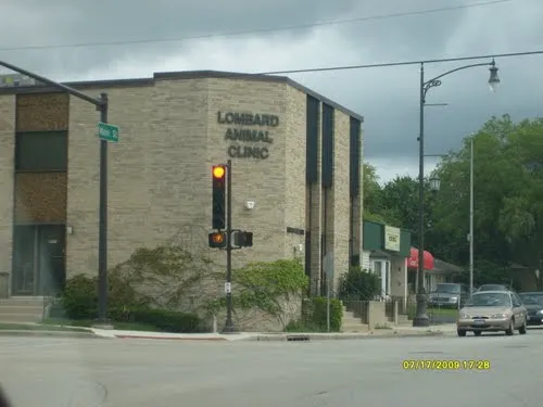Lombard Animal Clinic, P.C. Picture 3