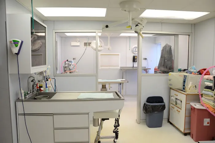 Lombard Animal Clinic, P.C. Picture 5