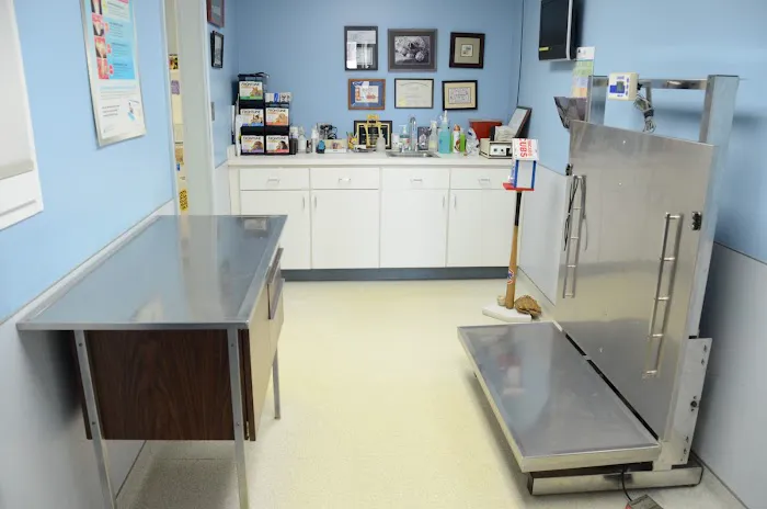 Lombard Animal Clinic, P.C. Picture 6
