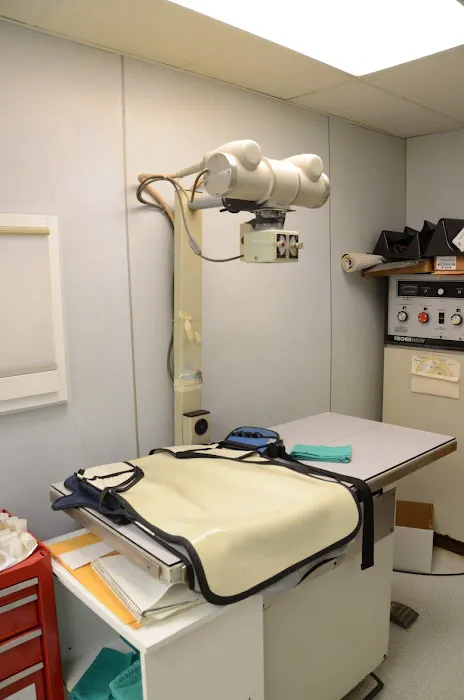 Lombard Animal Clinic, P.C. Picture 7