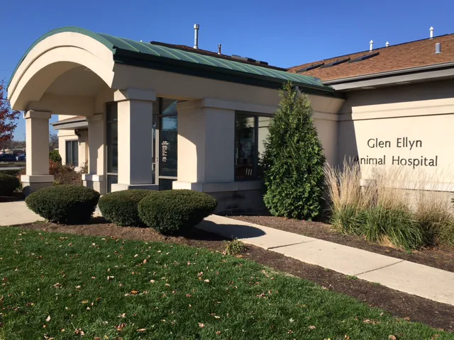 Glen Ellyn Animal Hospital Picture 2