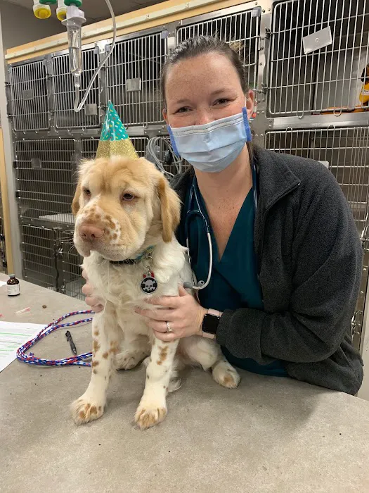 Glen Ellyn Animal Hospital Picture 6