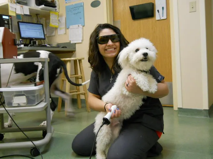 Glen Ellyn Animal Hospital Picture 4