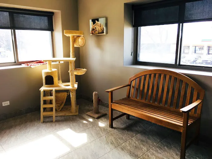 Glen Ellyn Animal Hospital Picture 5