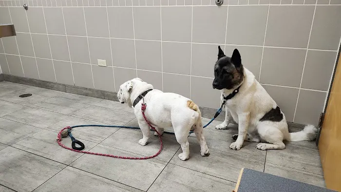 Glen Ellyn Animal Hospital Picture 9