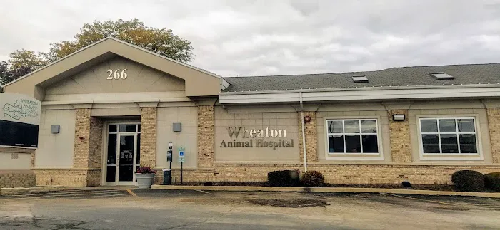 Wheaton Animal Hospital Picture 10