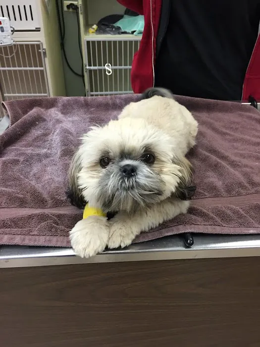 Emergency Veterinary Services of Lisle Picture 8