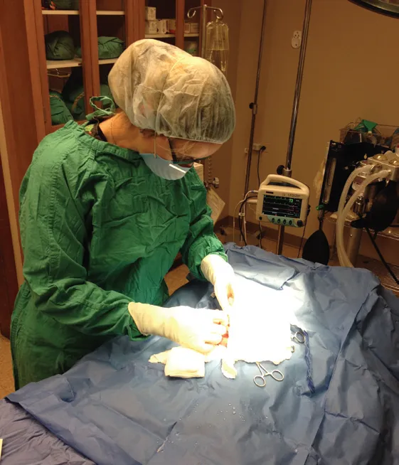 Emergency Veterinary Services of Lisle Picture 6