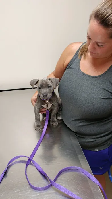 Park Ridge Animal Hospital LLC Picture 9