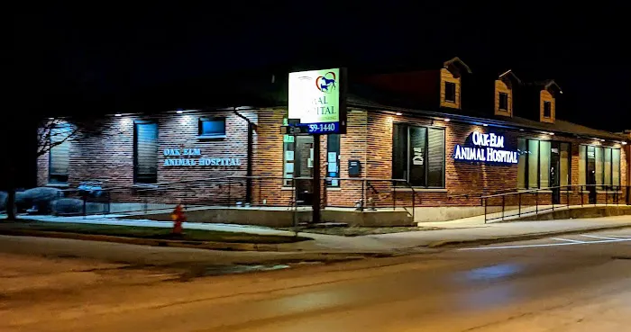 Oak Elm Animal Hospital Picture 3