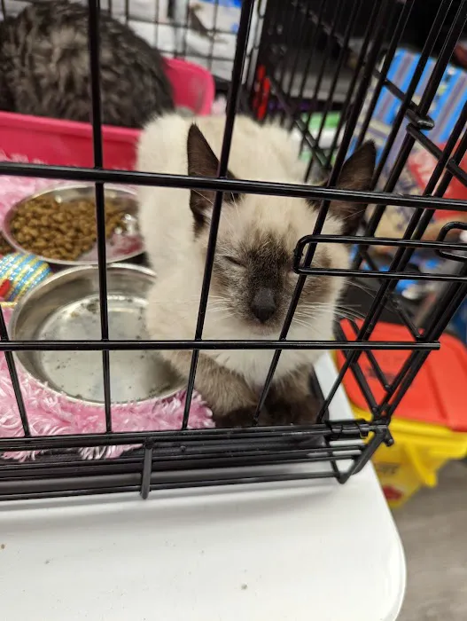 VIP Petcare Vaccination Clinic Picture 2
