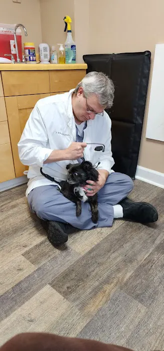 Northshore Animal Care Picture 10