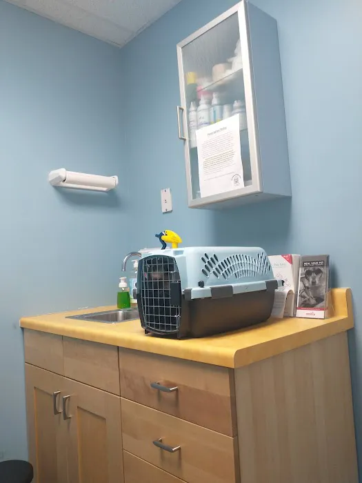 Northshore Animal Care Picture 8