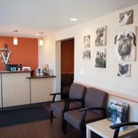 Wright Animal Hospital ico