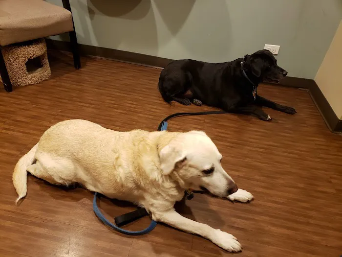 Wright Animal Hospital Picture 2