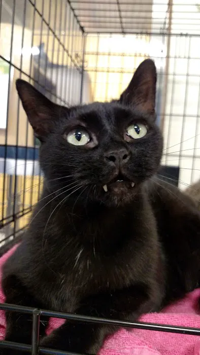Banfield Pet Hospital Picture 8