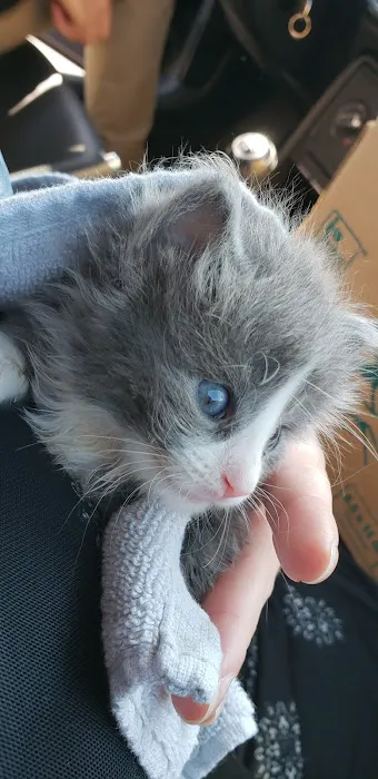 Banfield Pet Hospital Picture 10