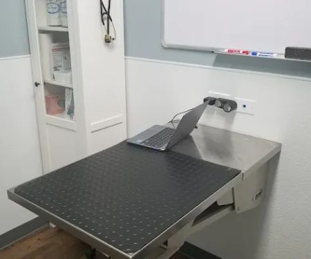 Lavitt Animal Hospital