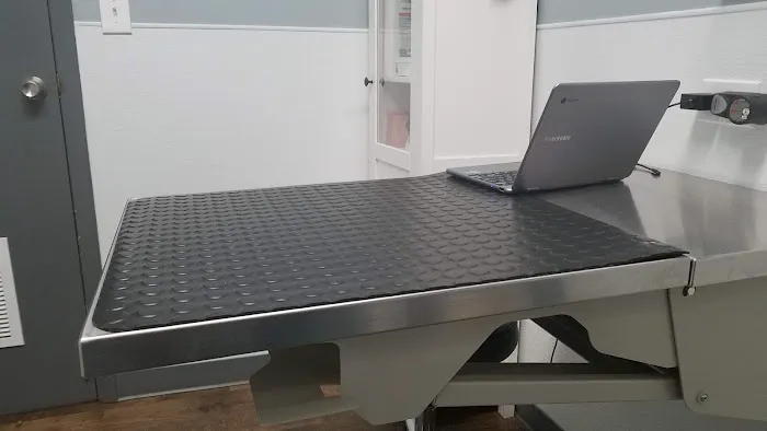 Lavitt Animal Hospital Picture 8