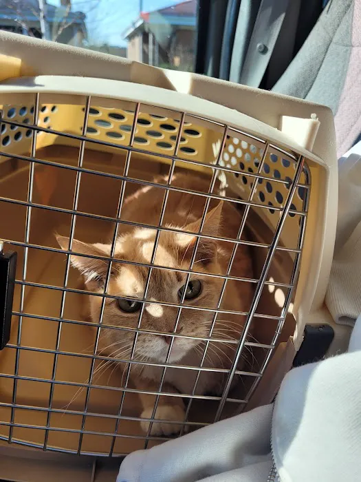 McCormick Animal Hospital Picture 2
