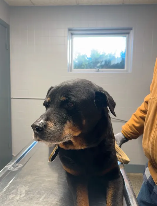 McCormick Animal Hospital Picture 10