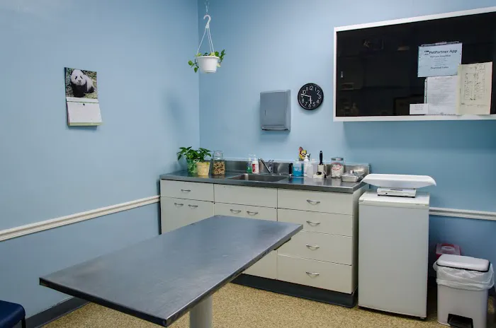 Bramer Animal Hospital Picture 2