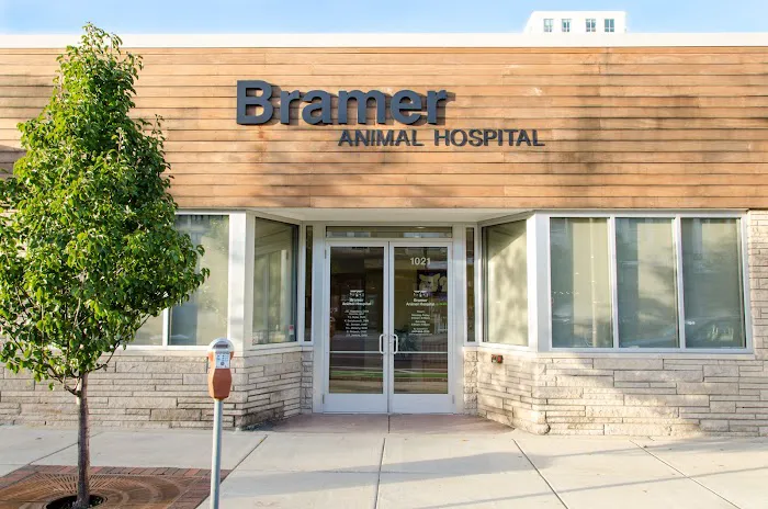 Bramer Animal Hospital Picture 3