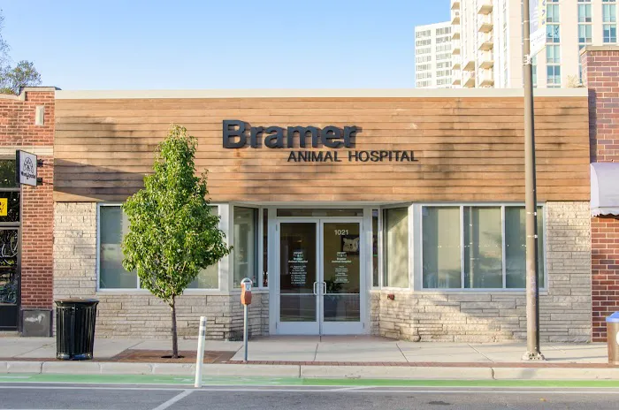 Bramer Animal Hospital Picture 1