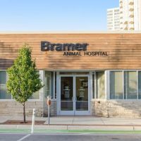 Bramer Animal Hospital ico