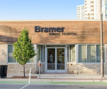 Bramer Animal Hospital