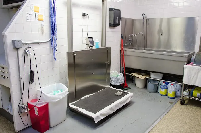 Bramer Animal Hospital Picture 6