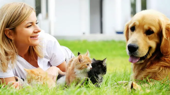 Bramer Animal Hospital Picture 5