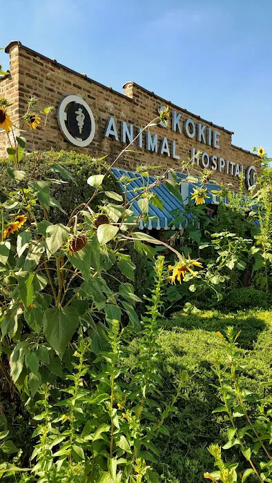 Skokie Animal Hospital Picture 4