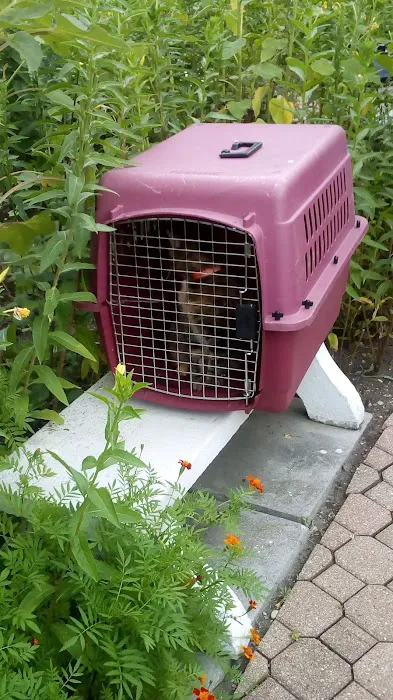 Skokie Animal Hospital Picture 6