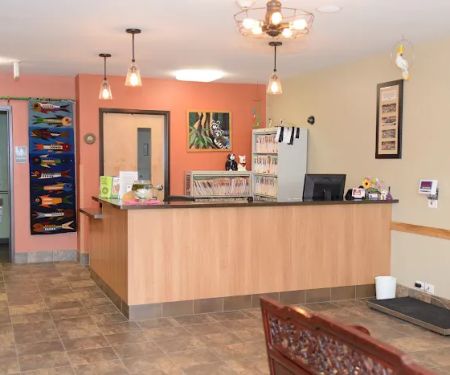 Chicago Exotics Animal Hospital