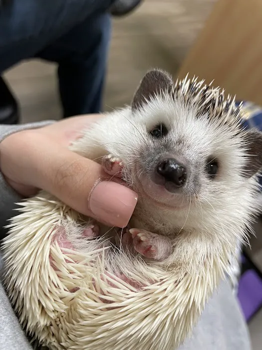 Chicago Exotics Animal Hospital Picture 5