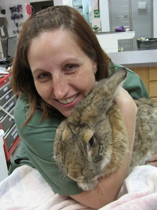 Chicago Exotics Animal Hospital Picture 10