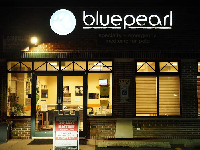 BluePearl Pet Hospital Picture 2