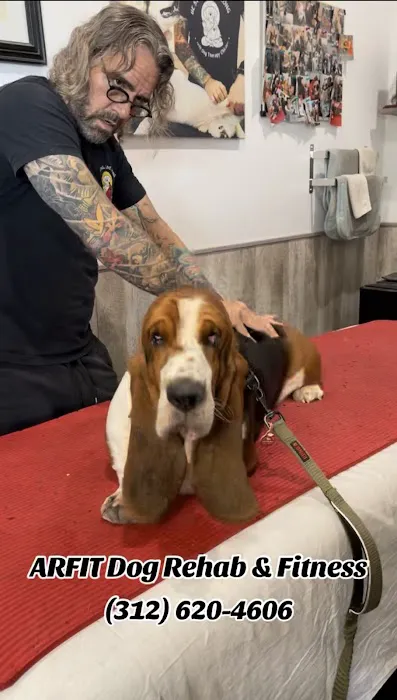 Arfit Dog Rehab / Fitness / Canine Rehabilitation Picture 8